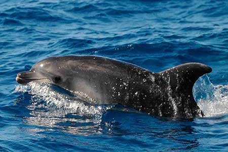 Click to see more photos